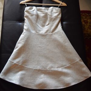 Express Silver Dress
